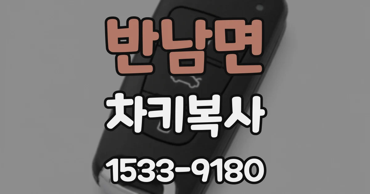 반남면 차키복사