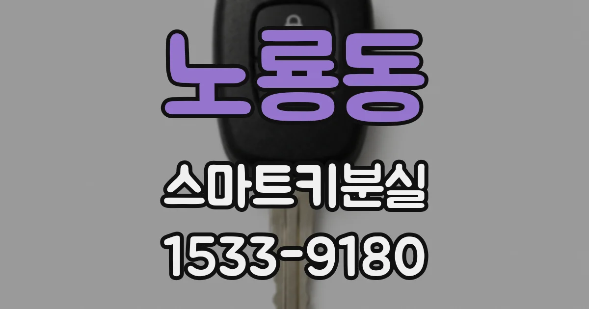 노룡동 스마트키분실