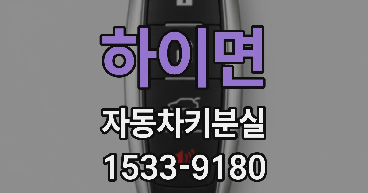 하이면 자동차키분실