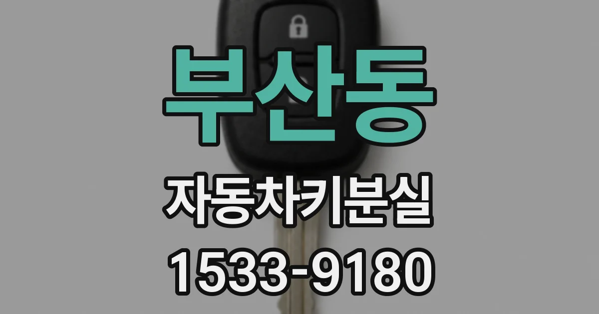 부산동 자동차키분실