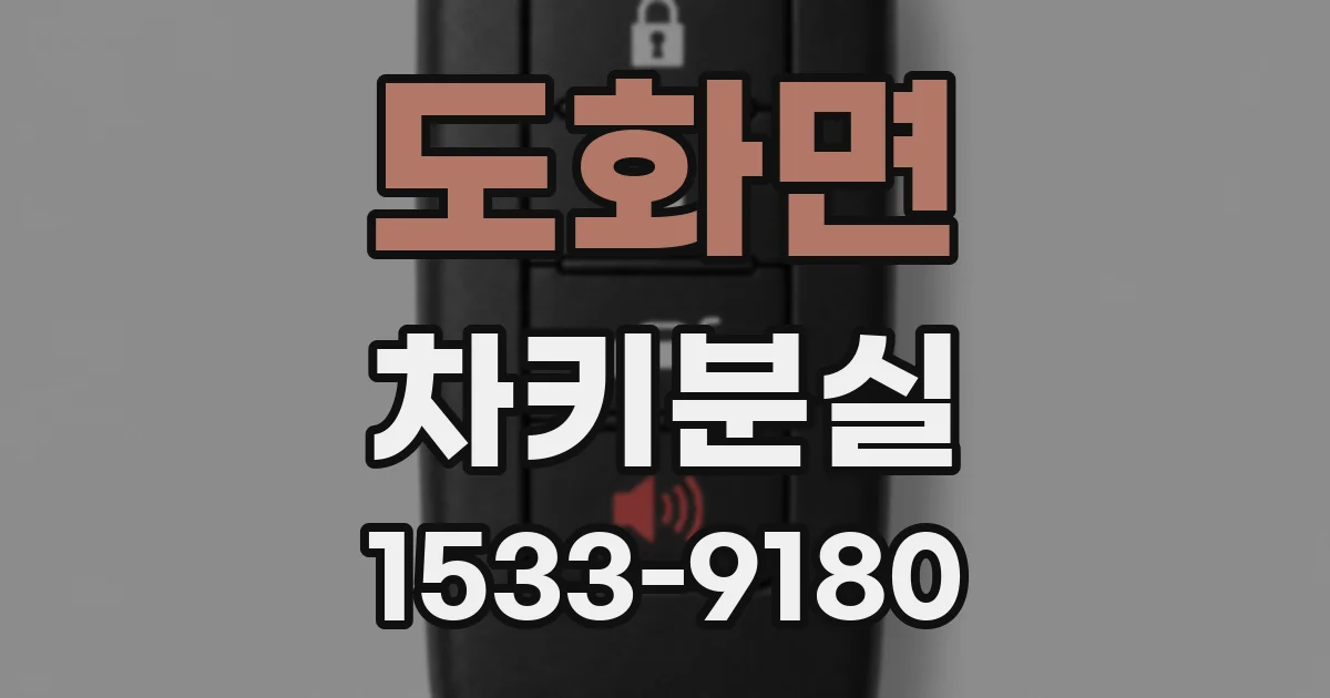 도화면 차키분실