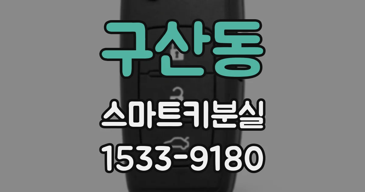 구산동 스마트키분실