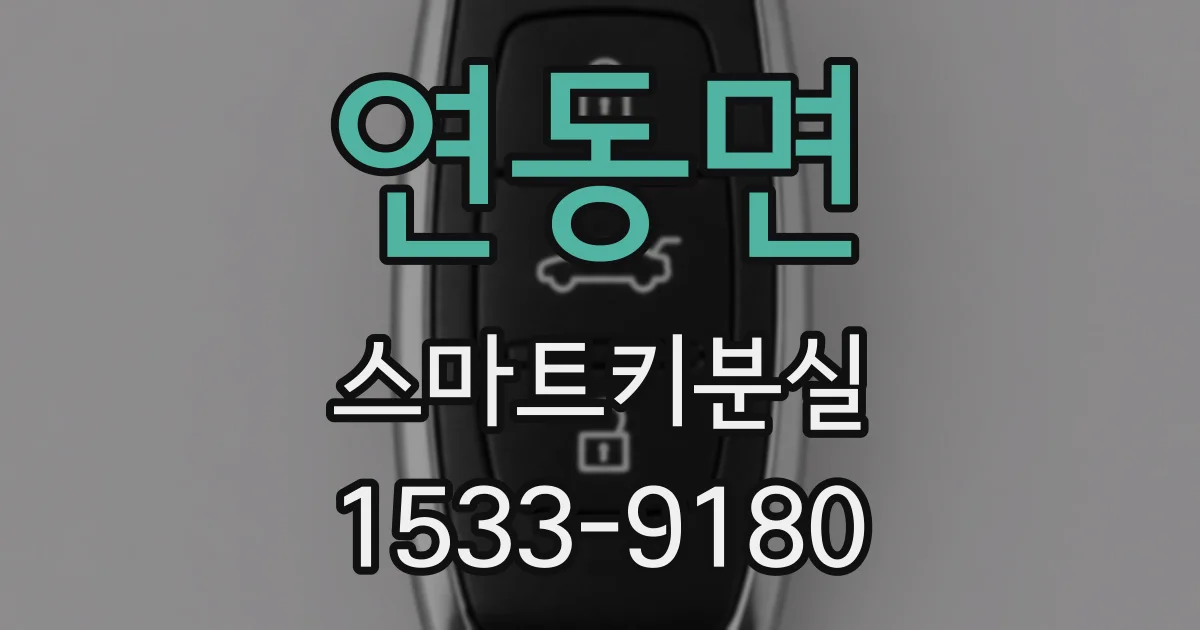 연동면 스마트키분실