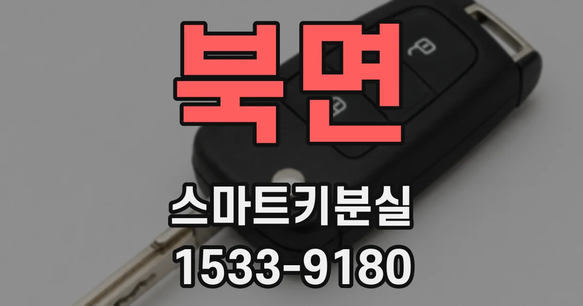 북면 스마트키분실