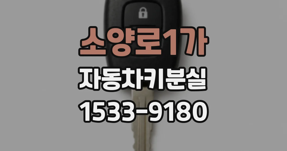 소양로1가 자동차키분실