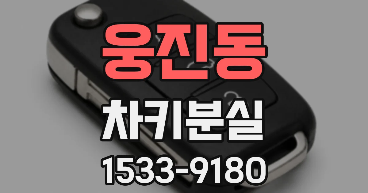 웅진동 차키분실
