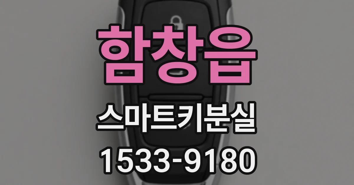 함창읍 스마트키분실