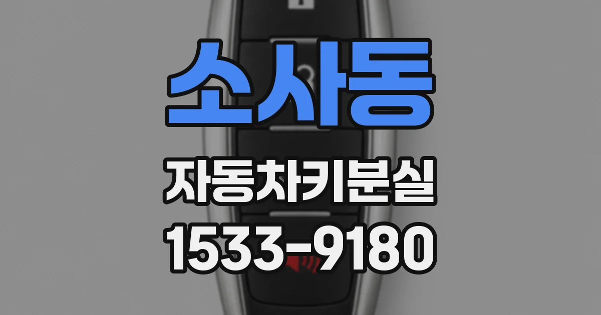 소사동 자동차키분실