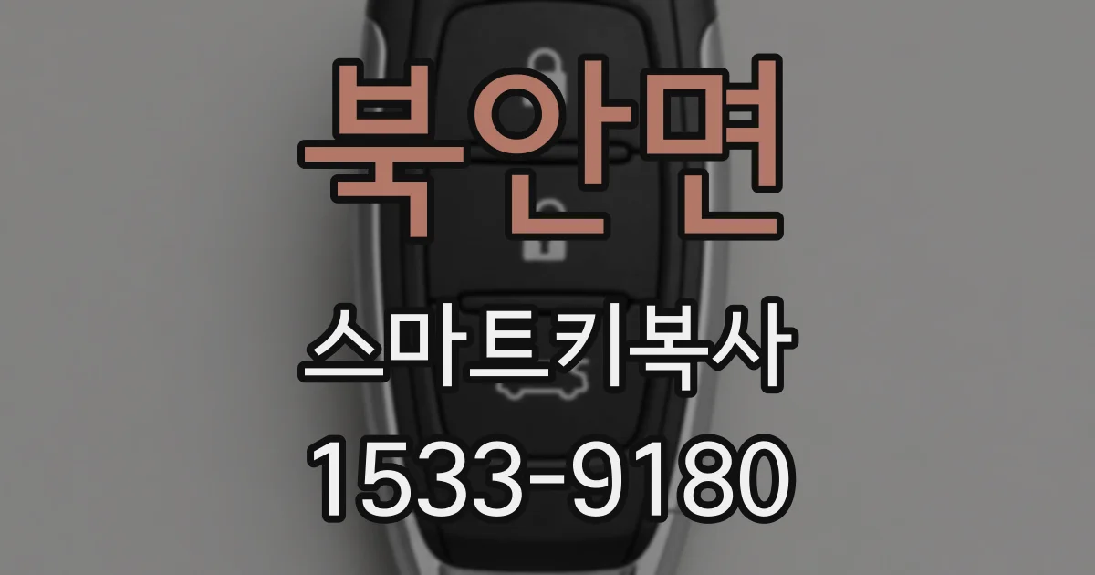 북안면 스마트키복사