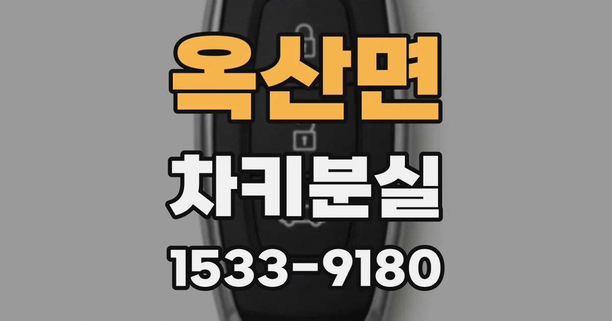 옥산면 차키분실