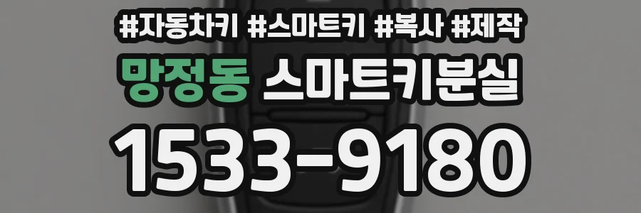 망정동 스마트키분실
