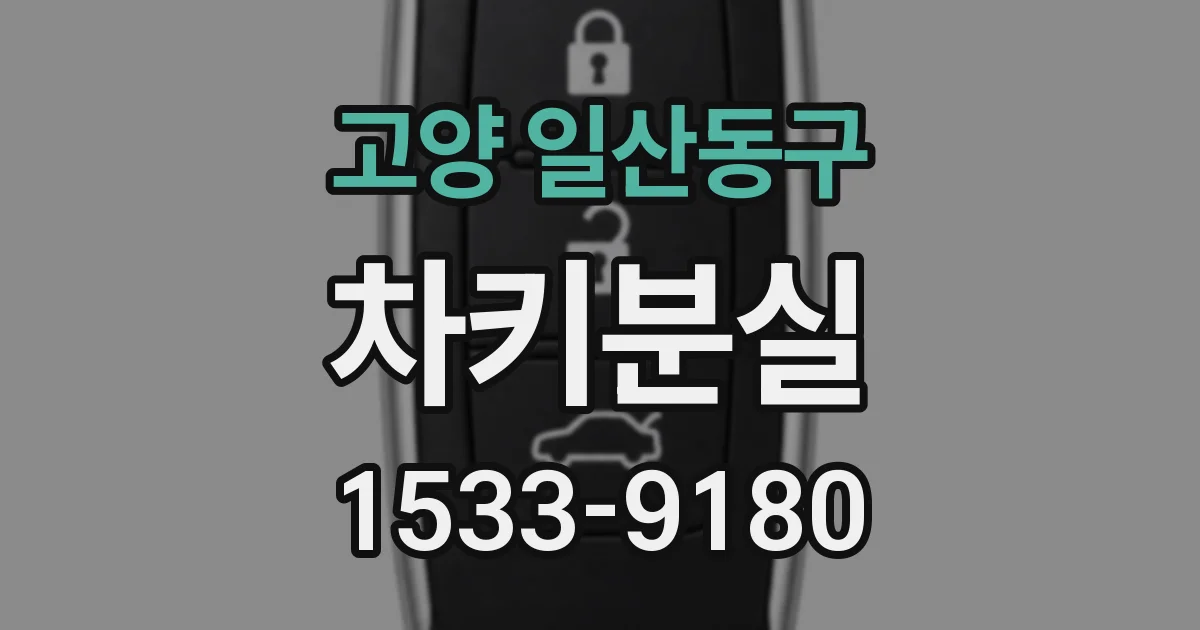 고양 일산동구 차키분실