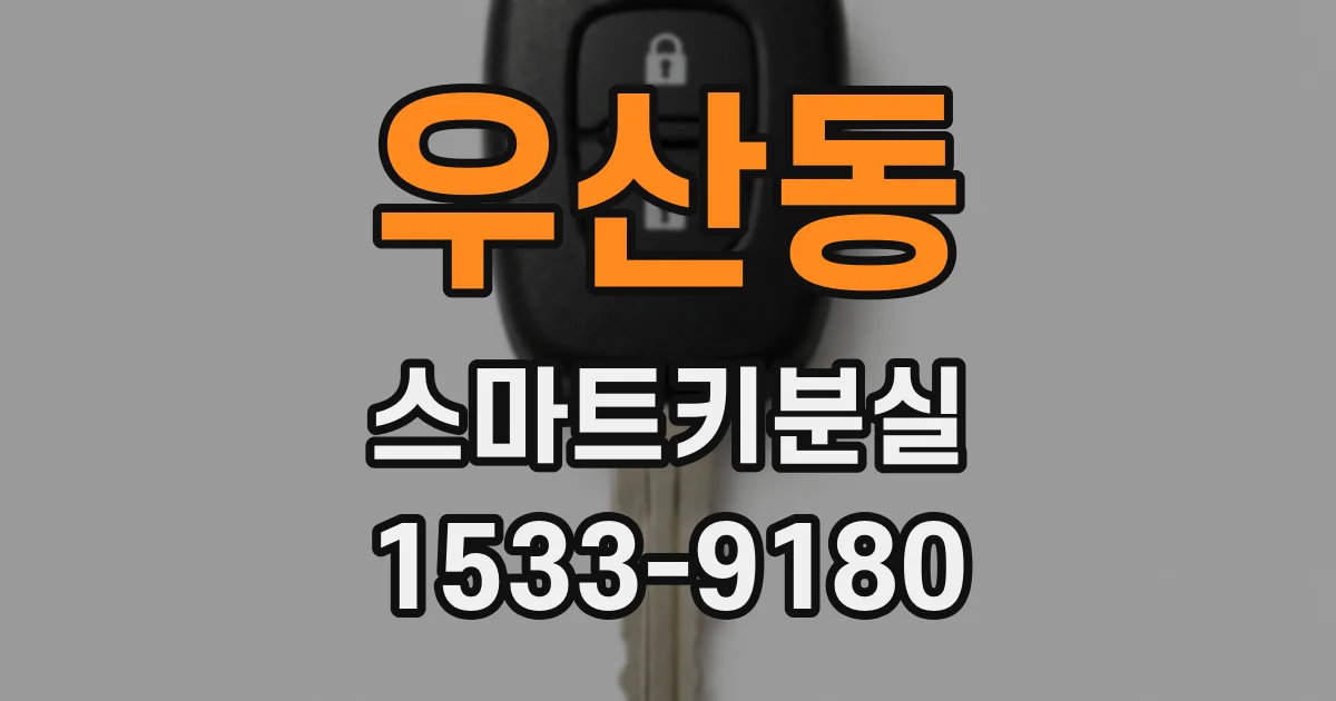 우산동 스마트키분실