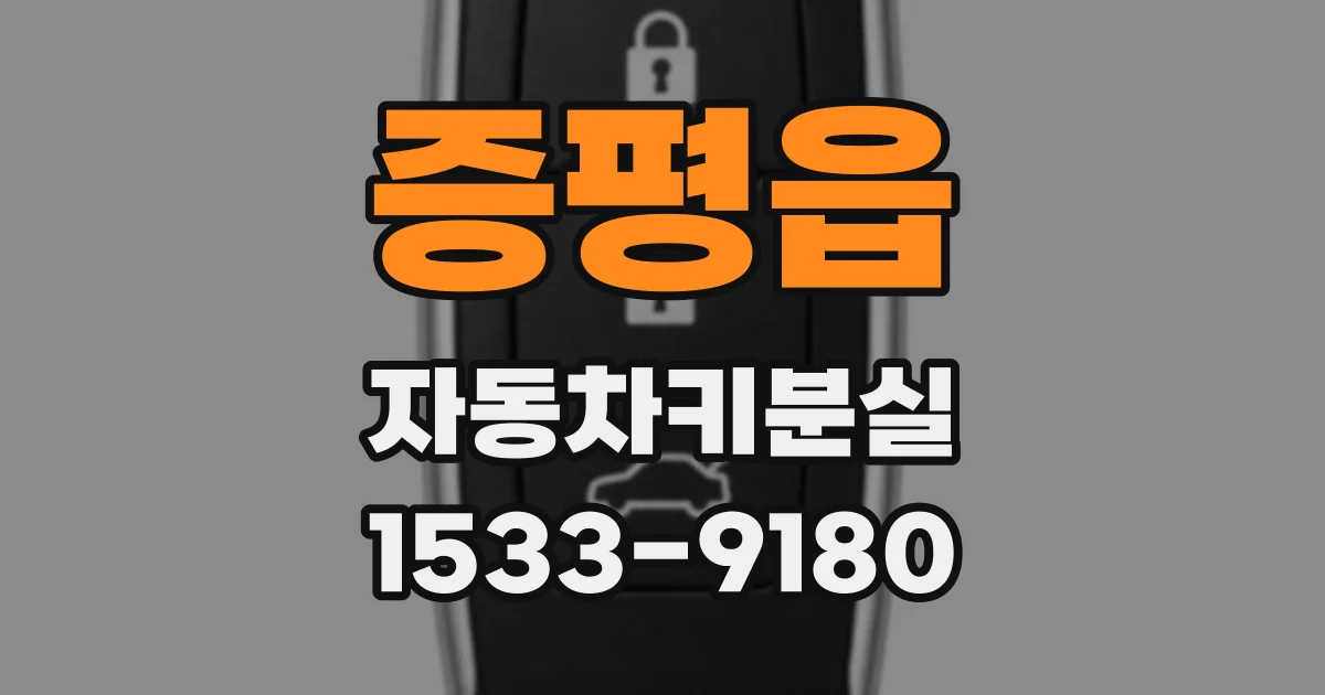 증평읍 자동차키분실