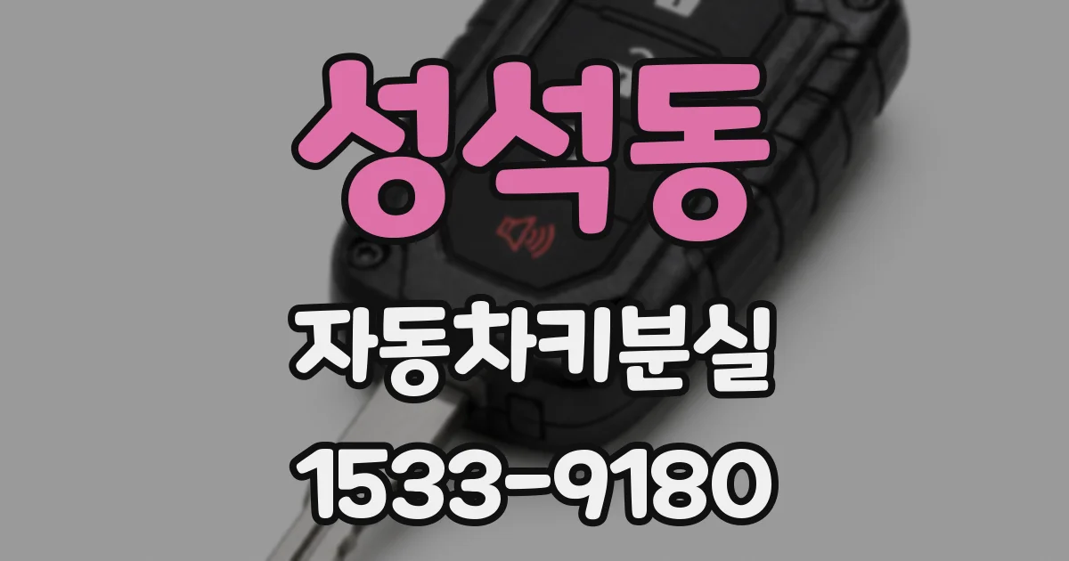 성석동 자동차키분실