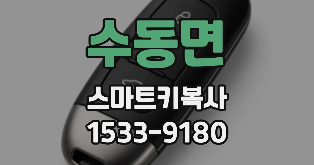 수동면 스마트키복사