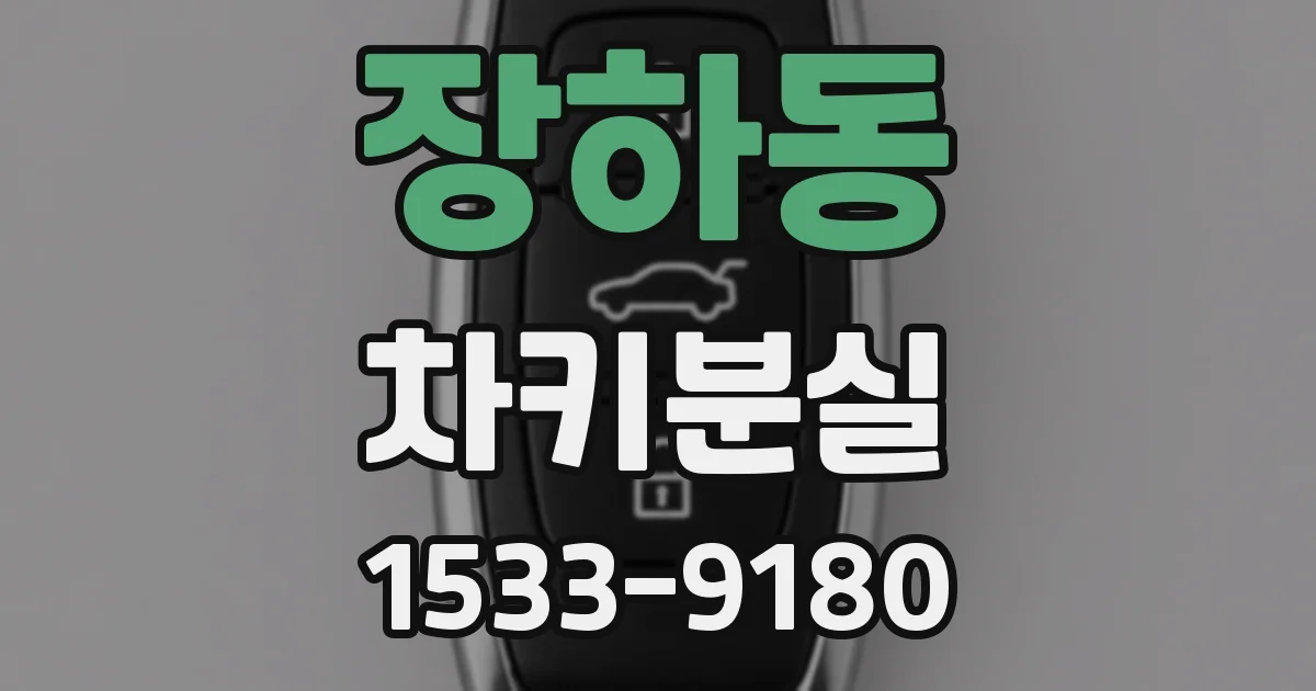 장하동 차키분실