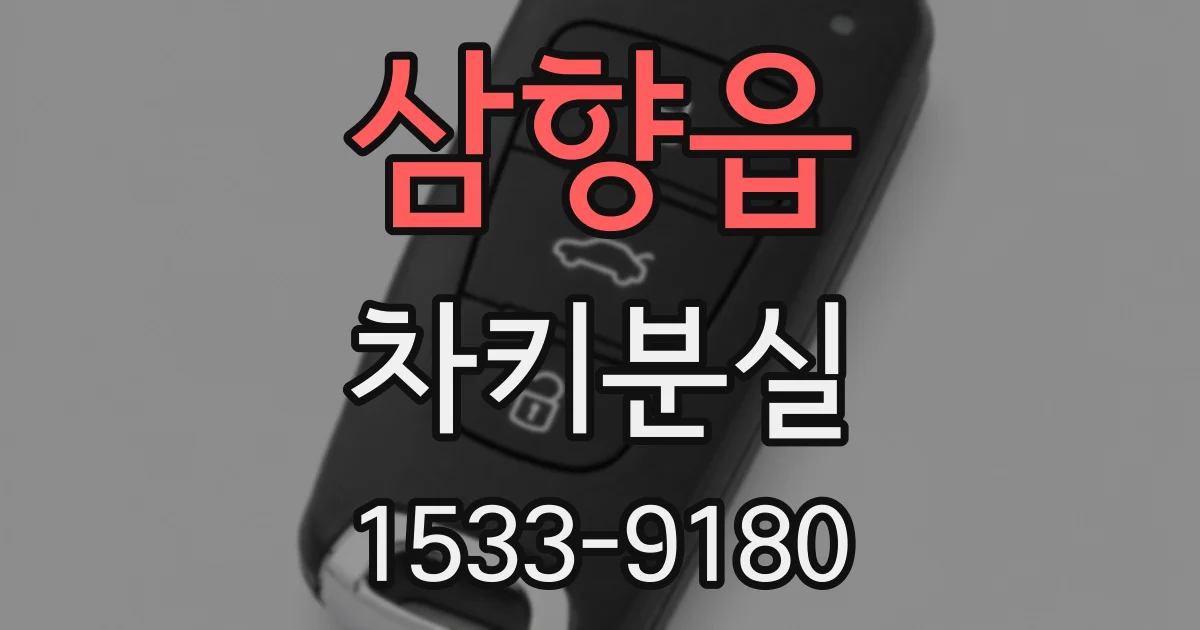 삼향읍 차키분실