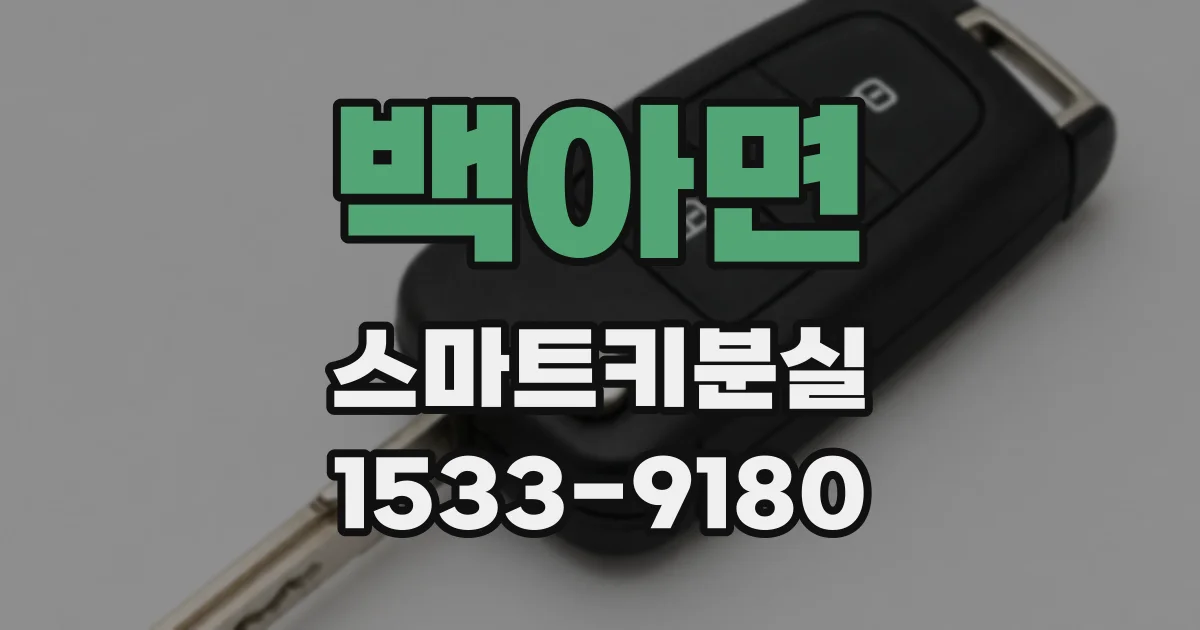 백아면 스마트키분실