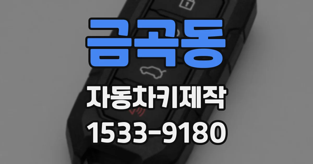 금곡동 자동차키제작