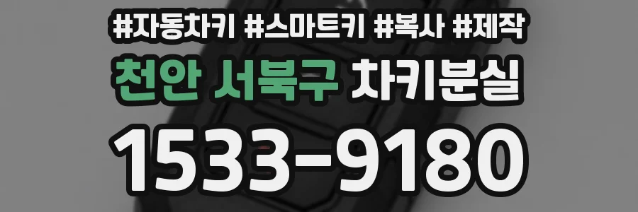천안 서북구 차키분실