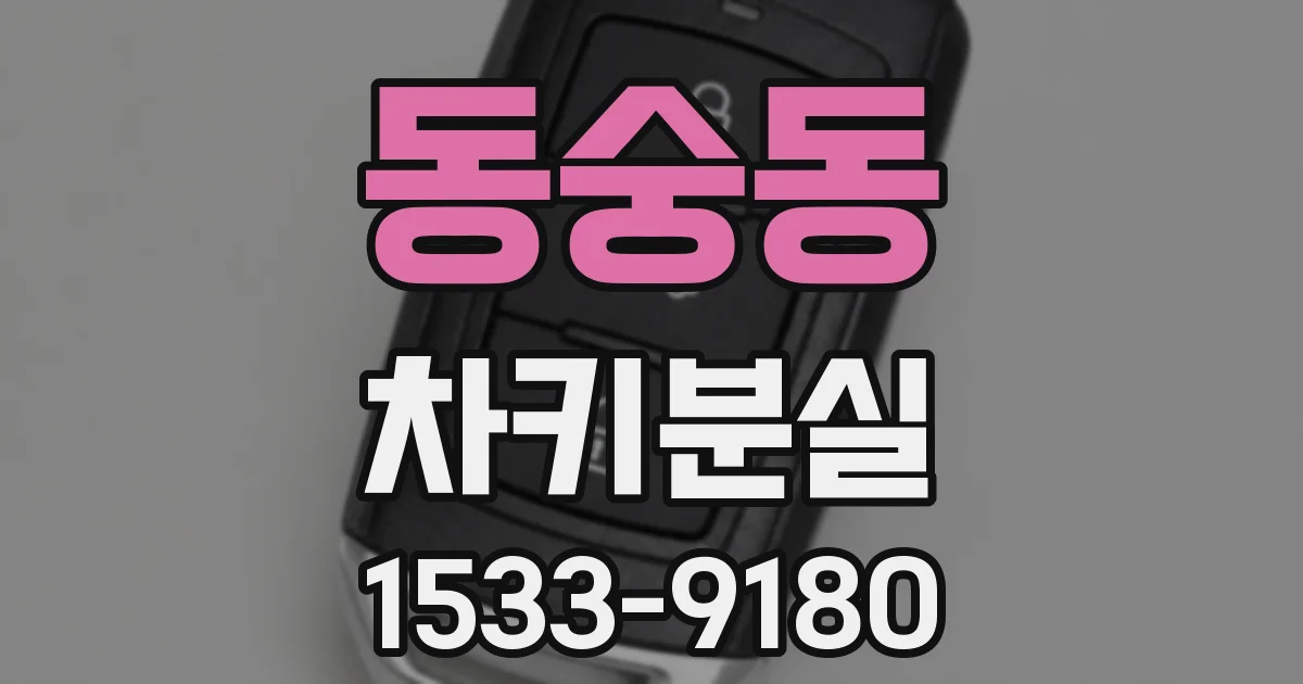 동숭동 차키분실