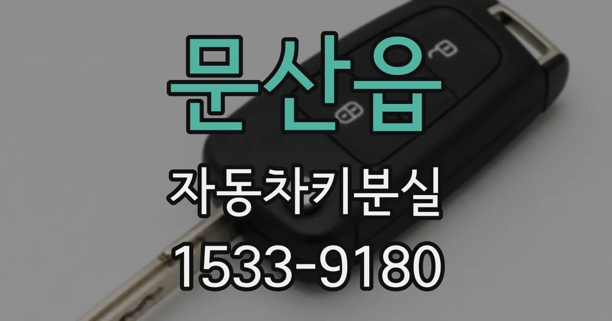 문산읍 자동차키분실