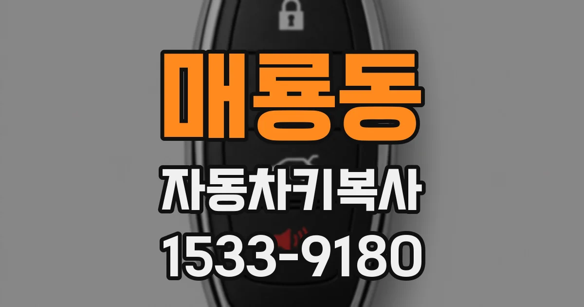 매룡동 자동차키복사