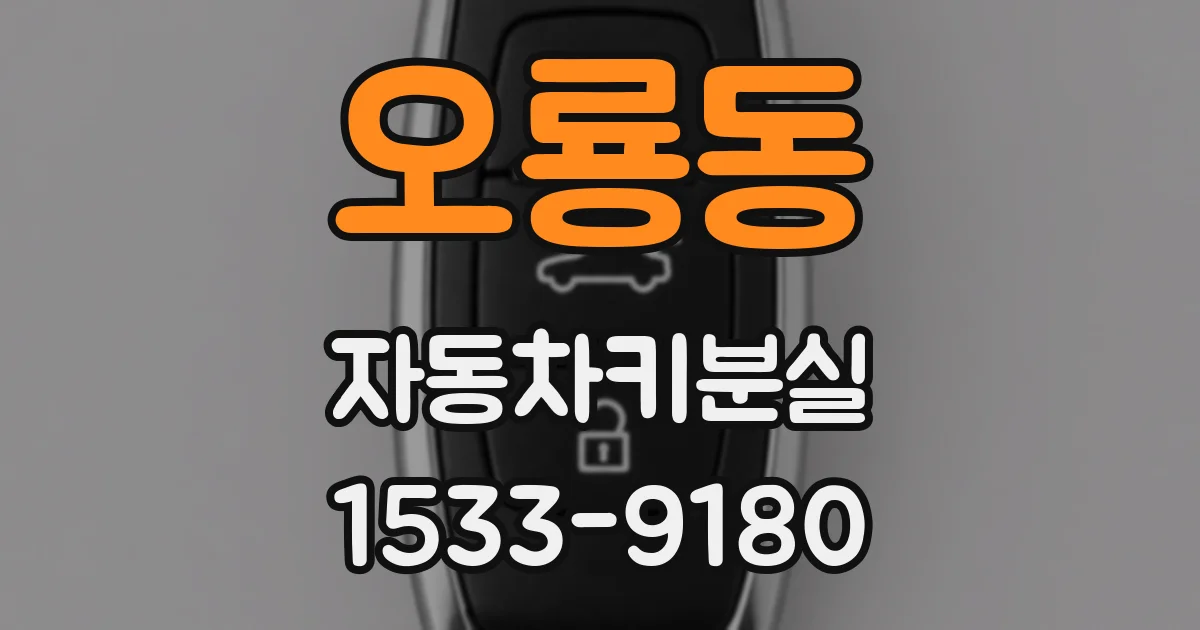 오룡동 자동차키분실