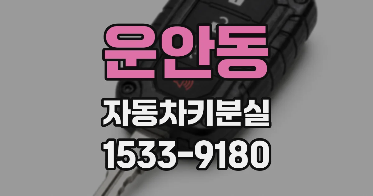 운안동 자동차키분실