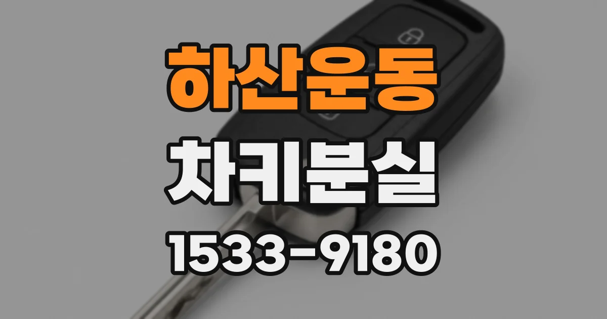 하산운동 차키분실