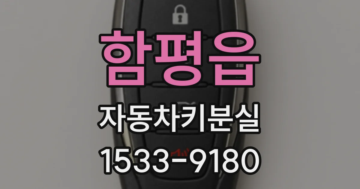 함평읍 자동차키분실