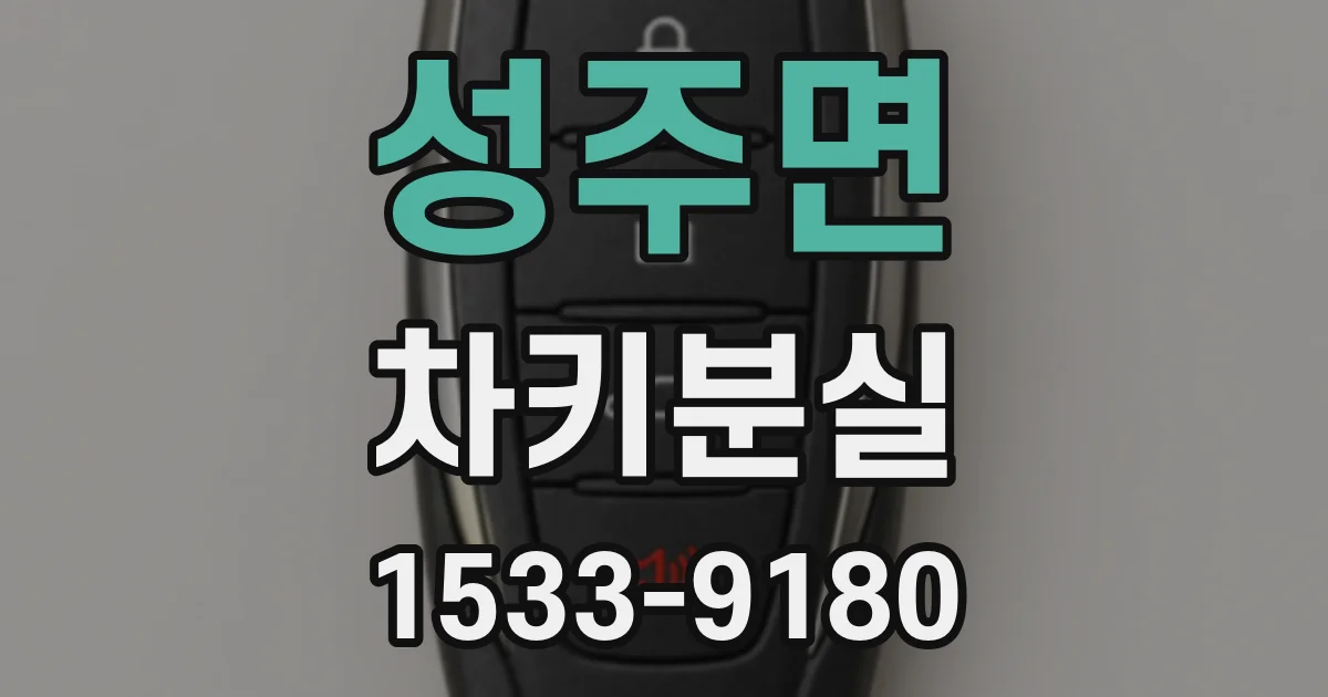 성주면 차키분실
