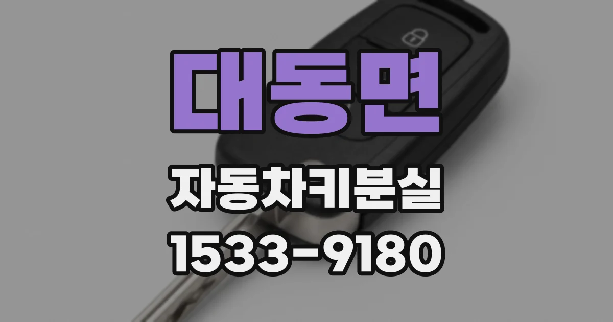 대동면 자동차키분실