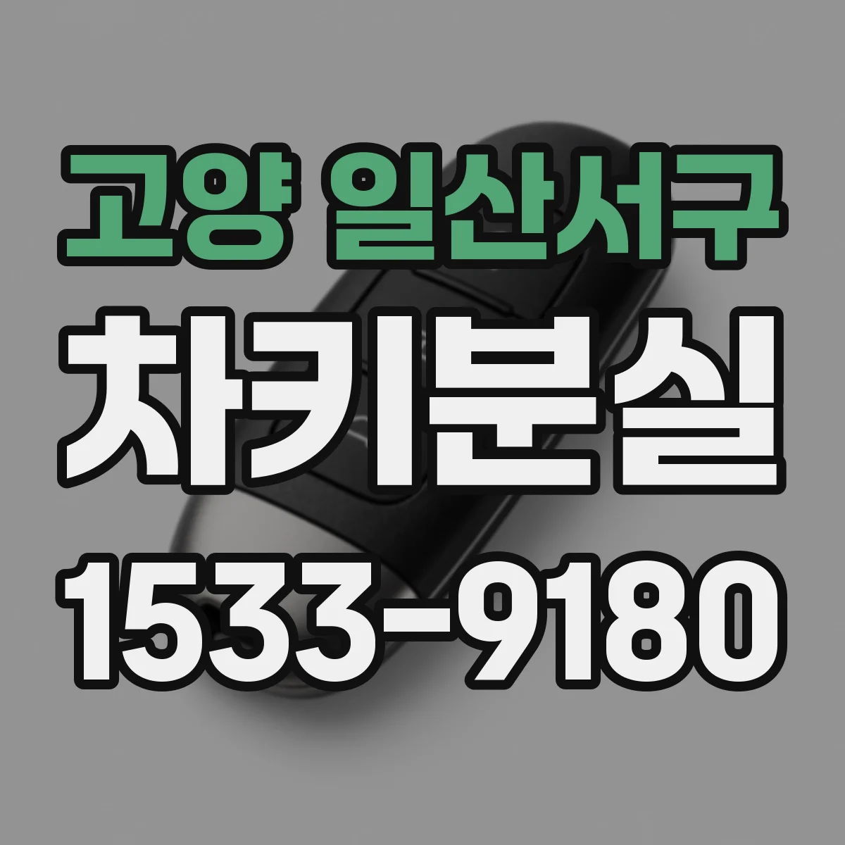 고양 일산서구 차키분실