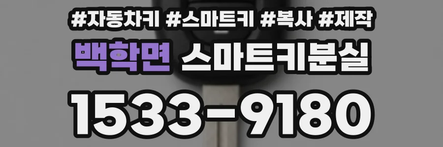 백학면 스마트키분실