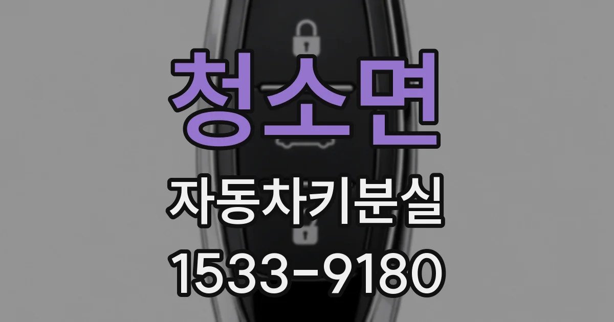 청소면 자동차키분실
