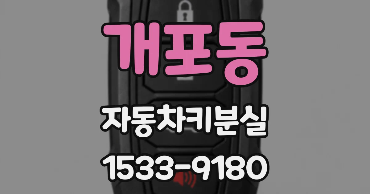개포동 자동차키분실