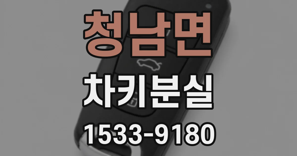청남면 차키분실