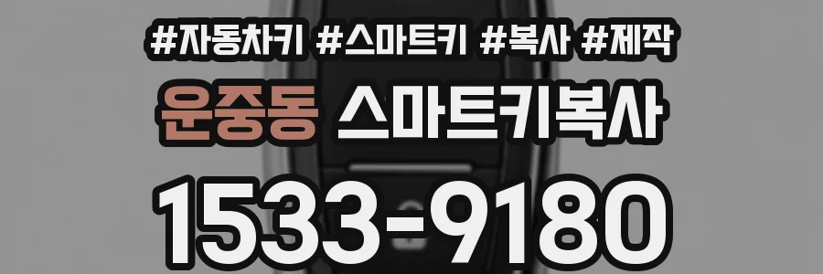 운중동 스마트키복사