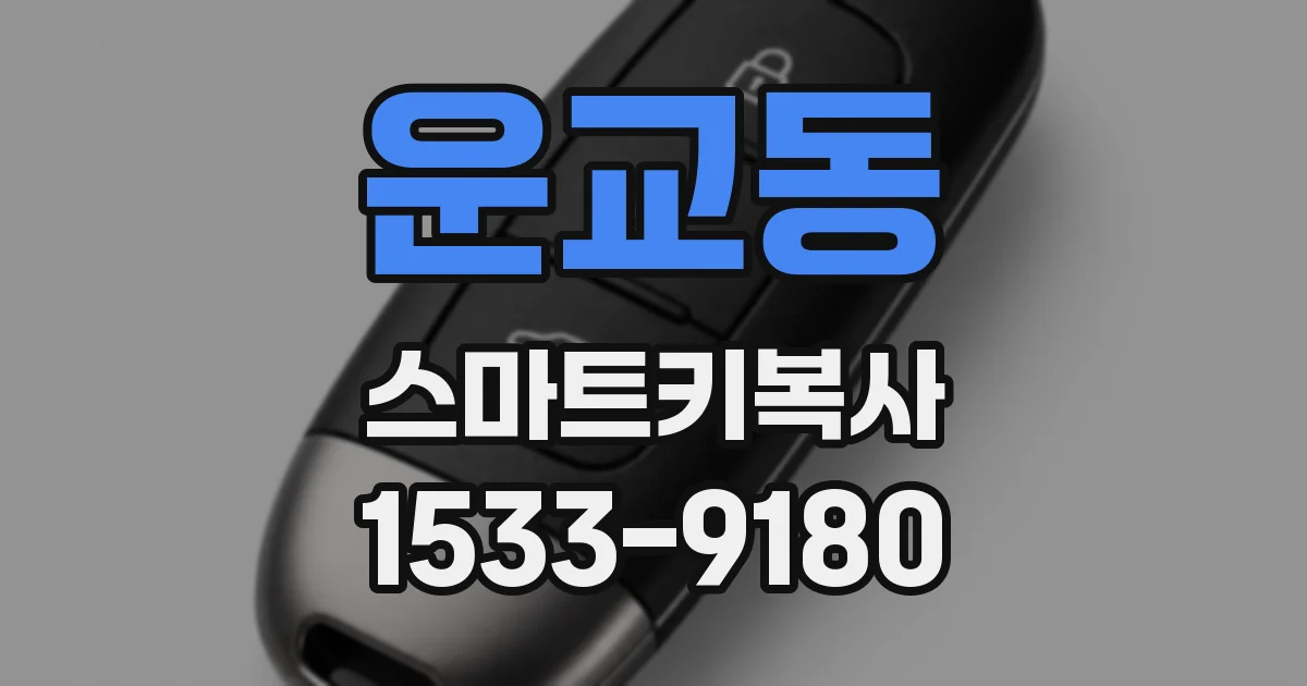 운교동 스마트키복사