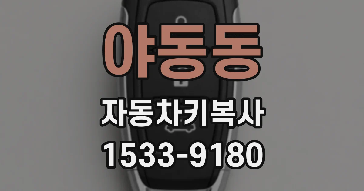 야동동 자동차키복사