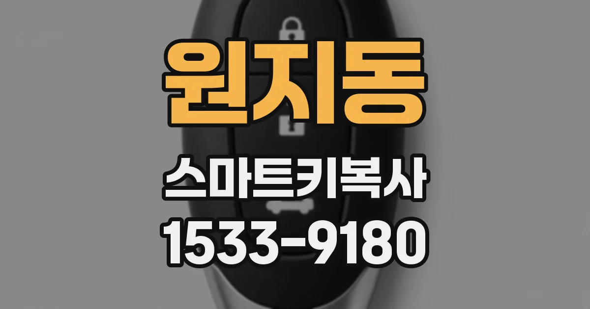원지동 스마트키복사
