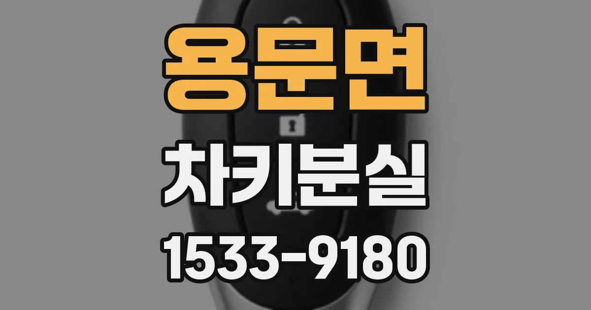 용문면 차키분실