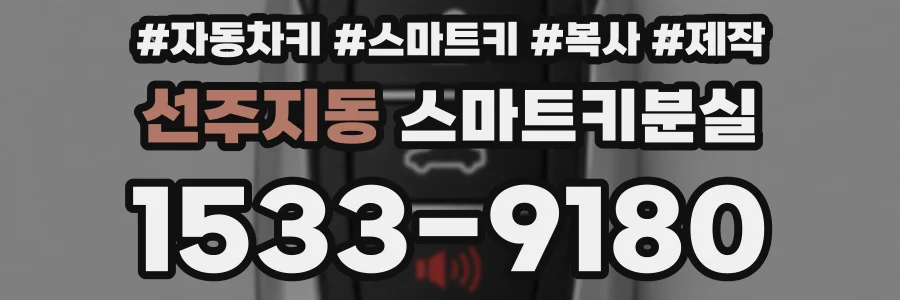 선주지동 스마트키분실