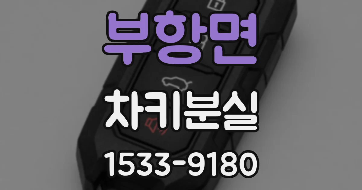 부항면 차키분실