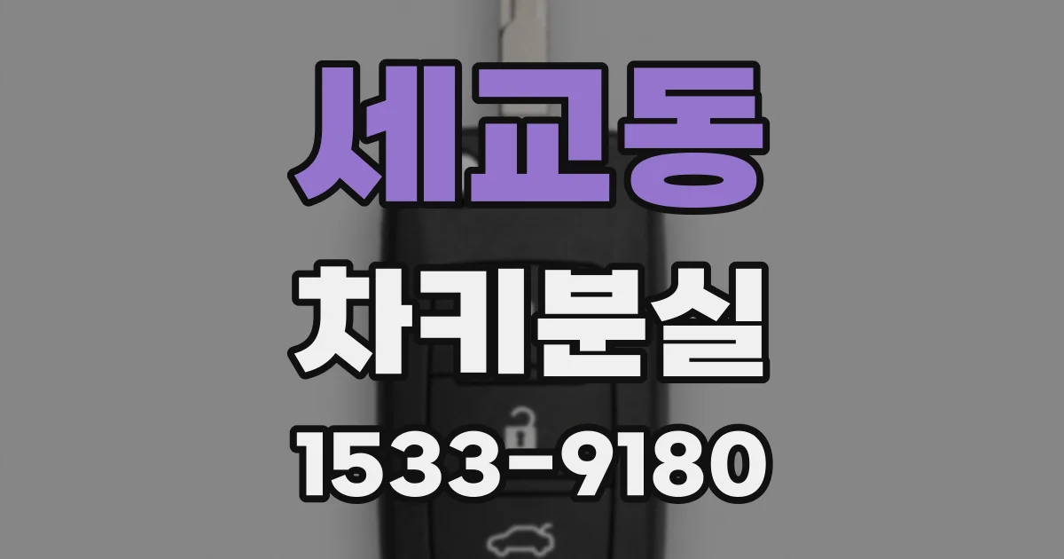 세교동 차키분실