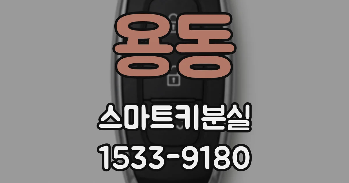 용동 스마트키분실