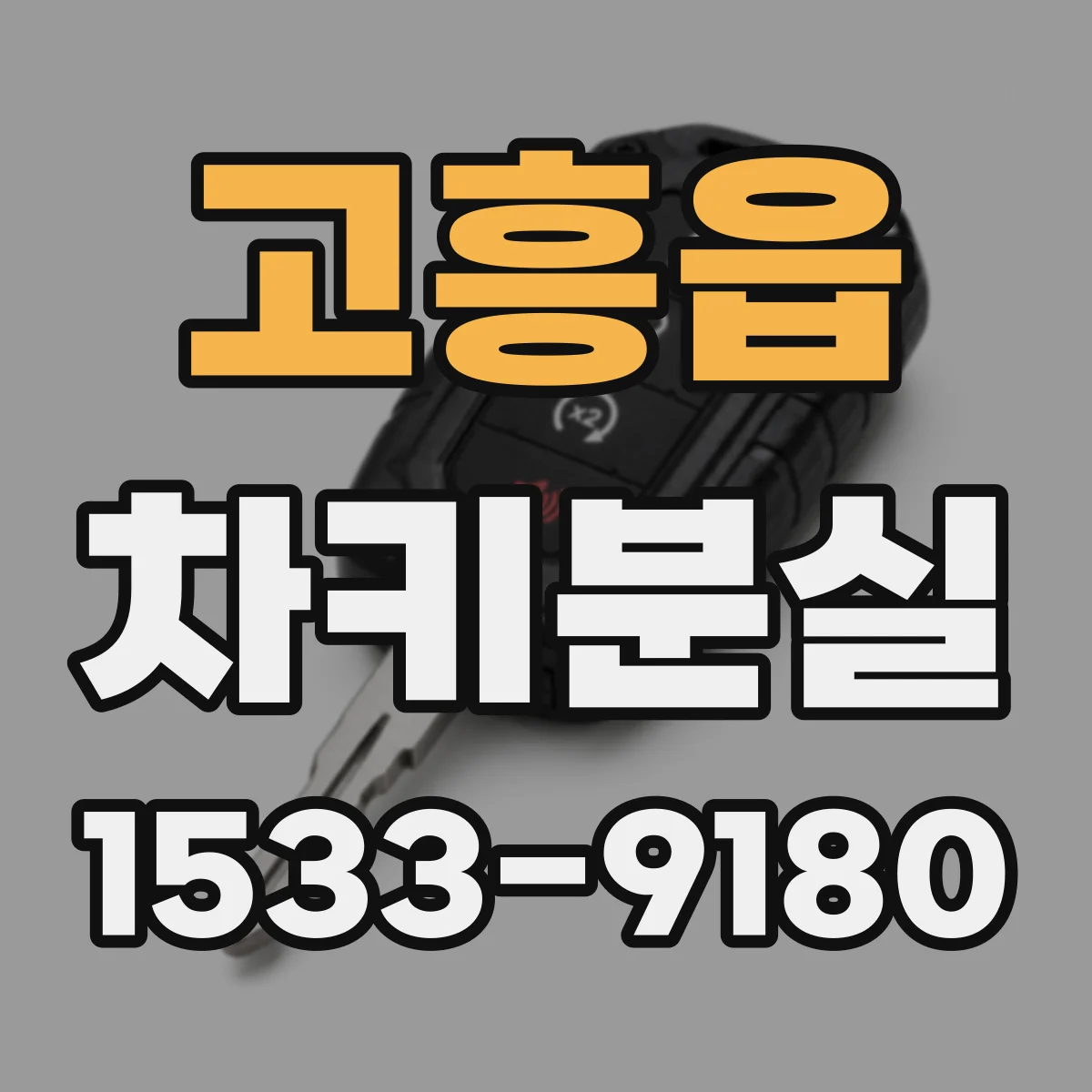 고흥읍 차키분실
