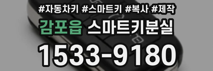 감포읍 스마트키분실